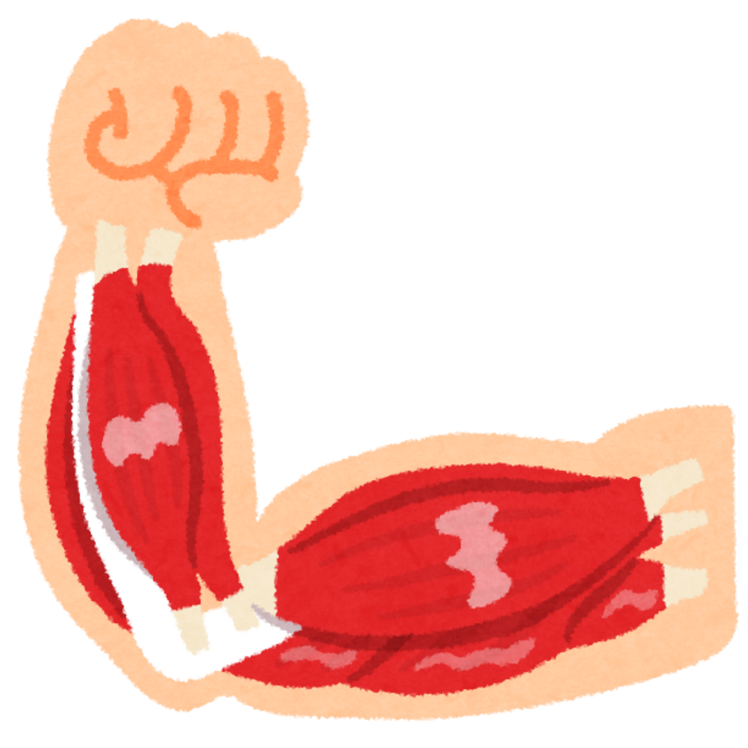 Bienestar y longevidad